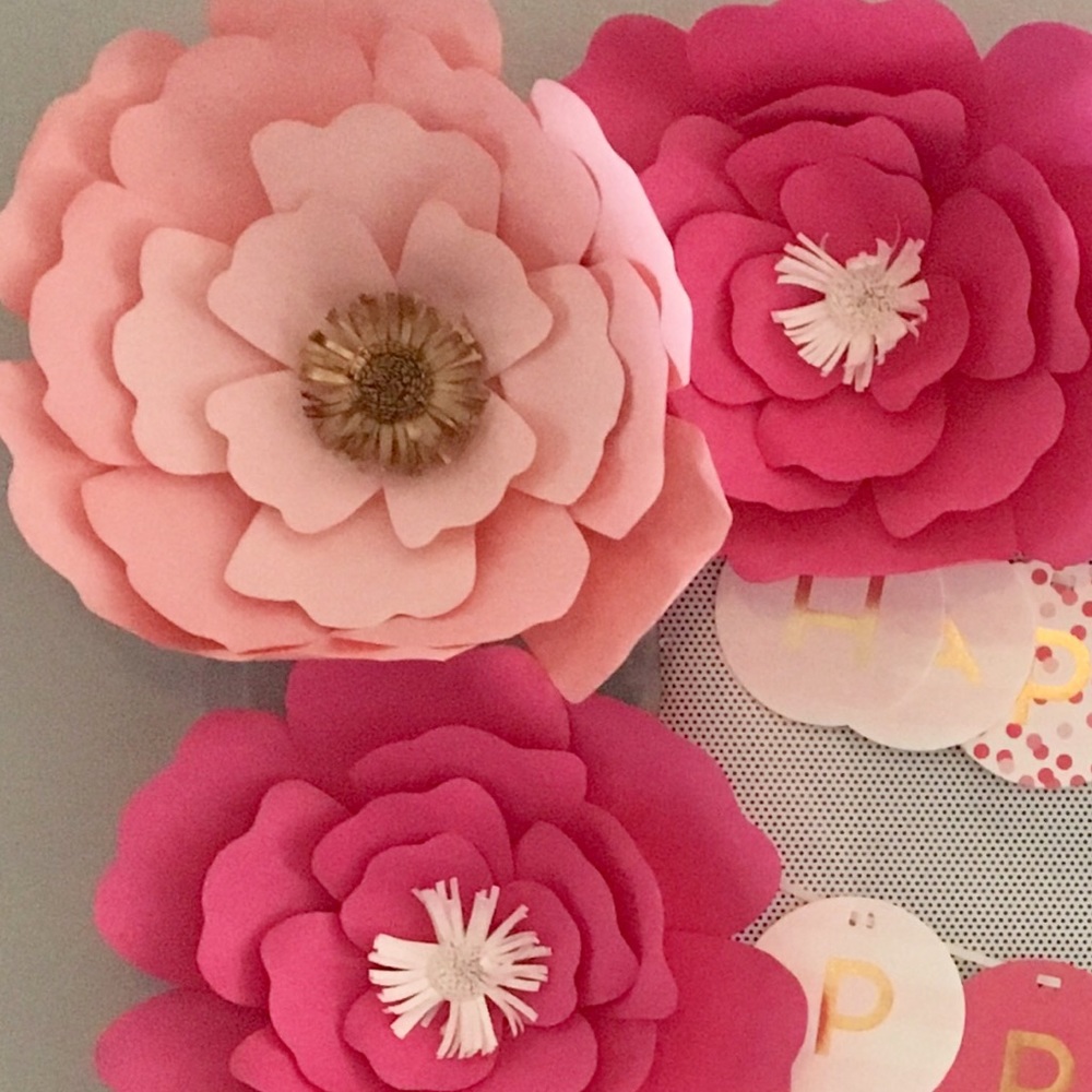 Meet your Posher, Elvia